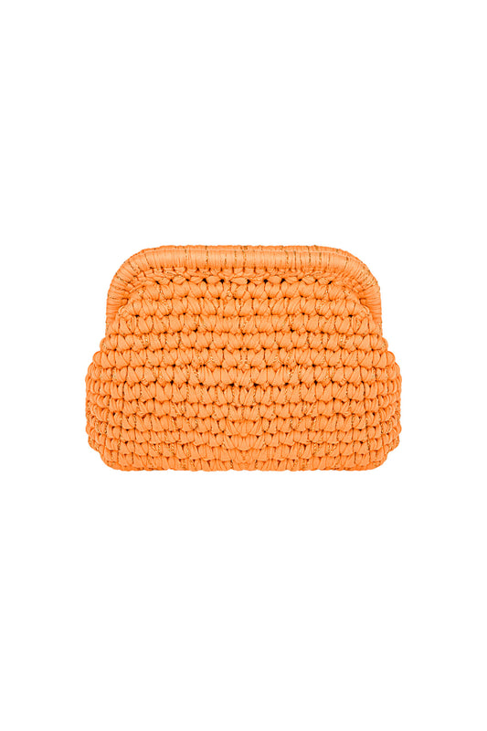 The Colorful Clutch bag