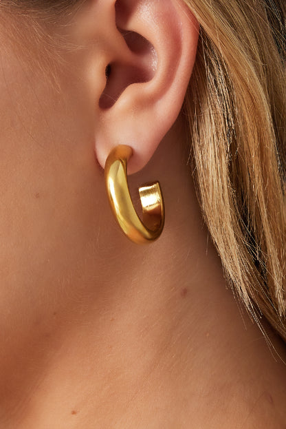 Thick hoop earrings